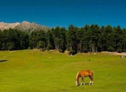 Kashmir with Devi Darshan Tour