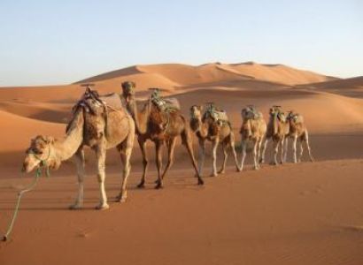 Rajasthan Camel Safari Tour