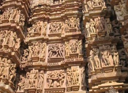 Wildlife Tour of Madhya Pradesh