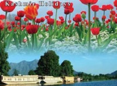 The Best Packages For The Budget Traveler For Kashmir 5Night / 6Days Tour