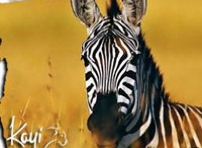 Akagera Game Drive Package