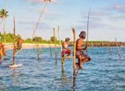 Mesmerising Sri Lanka Tour