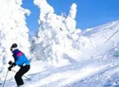 Magnificent Shimla Manali Tour