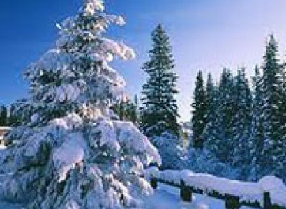 Best of Shimla - Manali - Chandigarh Tour Package
