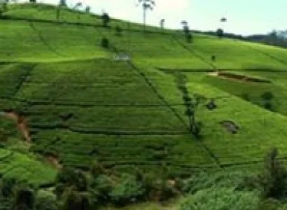 Scenic Sri Lanka Tour