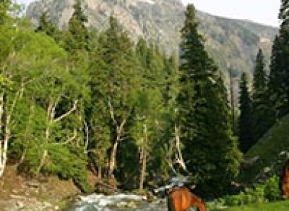 Katra - Kashmir Budget Package