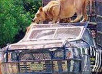 Simply Thailand Tour