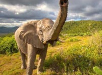 South Africa Splendour Tour