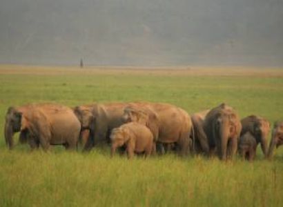 Jim Corbett Tour