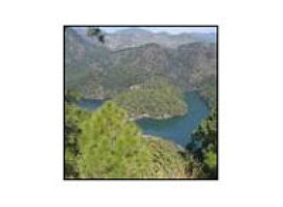 Nainital Honeymoon Tour
