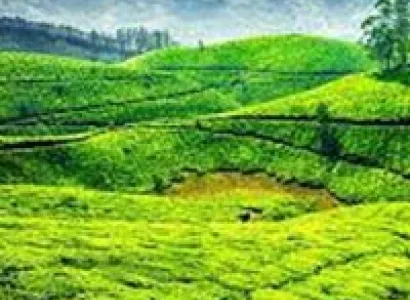 Munnar Tour Package