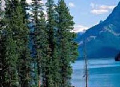 Mesmerizing Nainital Tour