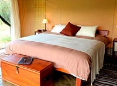 Mara Eco Safari 2 Nights Tour