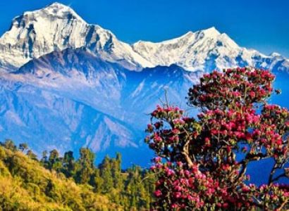 Nepal at a Glance Tour