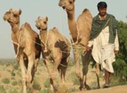 Two Days And One Night Safari Package