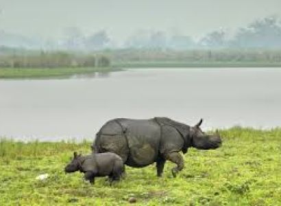 Kaziranga Shillong Guwahati Tour