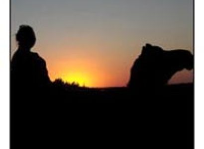 Christmas Safari Tour