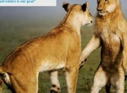 Masai Mara Nakuru Safari