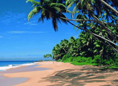 Sasta Monsoon Tour Package