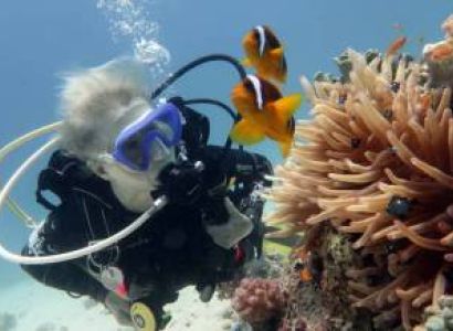 Grand Island Scuba Diving & Watersports