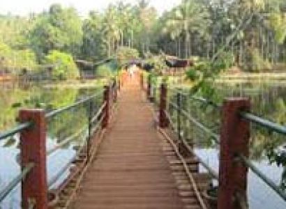 Tropical Spice Plantation