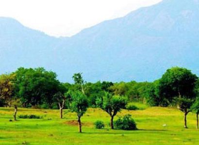 GTS Wildlife - South India Tour