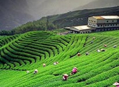 Nainital (2N) - Almora (1N) - Kausani (1N) - Corbett (2N) Tour