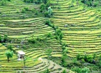 Nainital (2N) - Mussorie (2N) - Kausani (1N) - Ranikhet (1N) - Corbett (1N) Tour