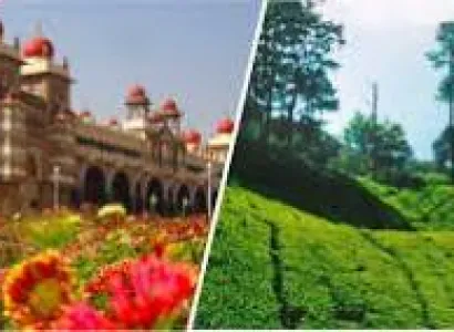 Mysore -  Ooty Tour Package