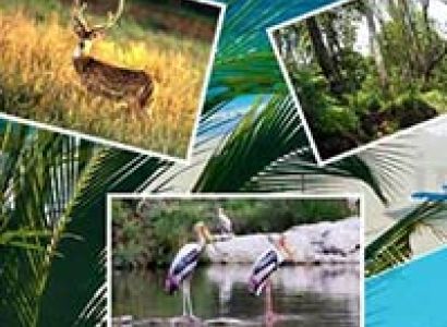 Cheap Goa Holiday Package