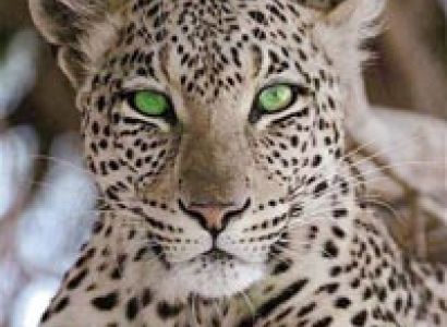 6 Days Nakuru Lake Baringo Amboseli Tsavo West