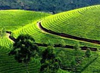 07 Nights 08 Days Picturesque Treat Tour