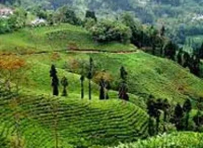 08 Nights 09 Days Passage Through The Mountain Tour