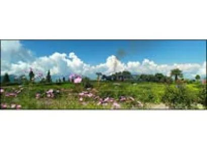 Darjeeling Green GrandeurTour Package