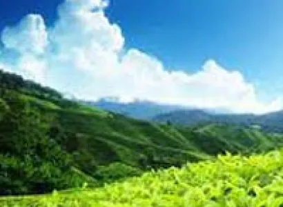 Hill and Thrill | Package