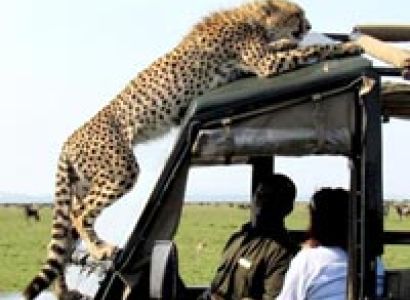 Camping Safaris Tour