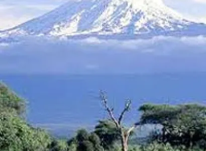 Manyara Serengeti and Tarangira Tour