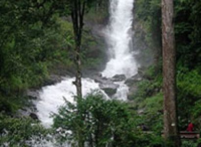 Honeymoon in Coorg from Bangalore Tour