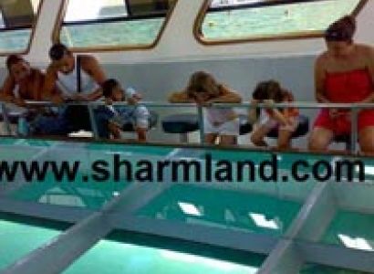 Glass Bottom Boat In Sharm El Sheikh Tour