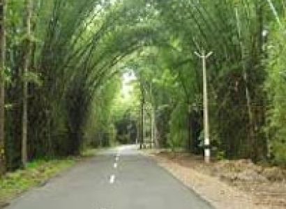 Karnataka Honeymoon Tour