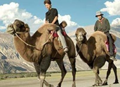 Alchi & Kargil 8D/7N Budget Travel Package