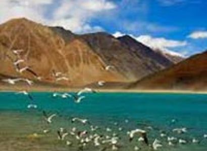 6 Days TUTC Glamping in Ladakh Tour