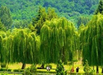 Srinagar to Pahalgam Package
