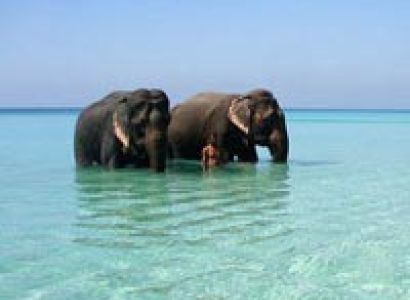 Jewels In The Bay Of Bengal