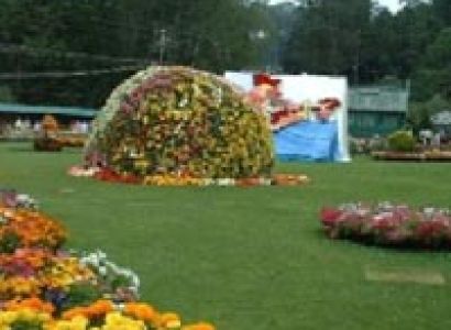 In The Nilgiris Tour