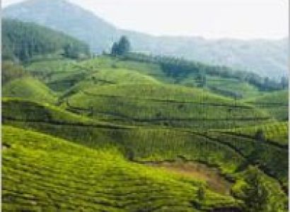Mini Kerala Tour