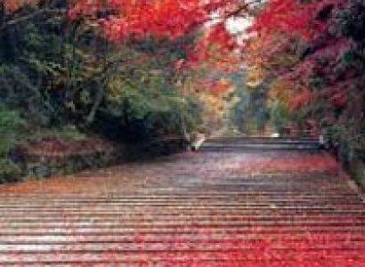 Nainital Special Tour