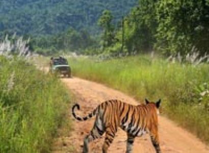 Land of the Tiger Tour