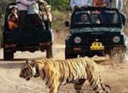 Central India Panorama Tour