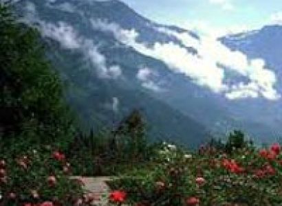 Mussoorie with Nainital Tour